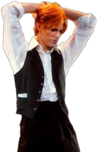  Transparent Background David Bowie Tuxedo Png White Shirt Transparent Background