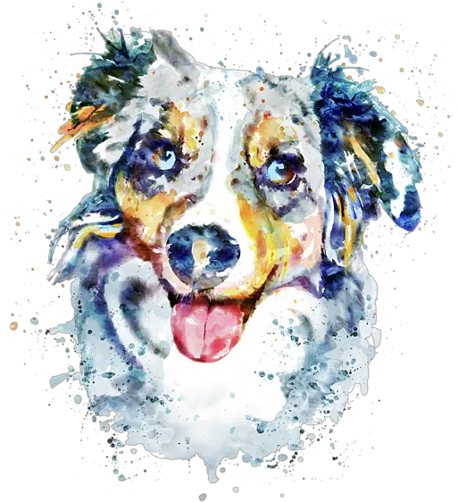  Spiral Notebook For Sale Border Collie Red Merle Watercolor Png Border Collie Png