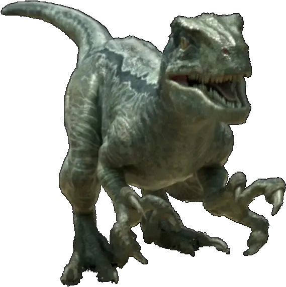  Velociraptor Jurassic Park Transparent Jurassic World Velociraptor Charlie Png Velociraptor Png