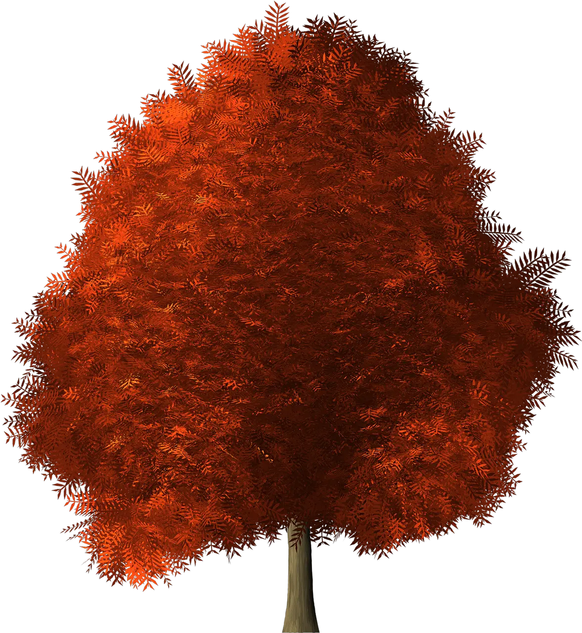  Red Wig Png Maple Tree Transparent Background 4795474 Maple Wig Transparent Background