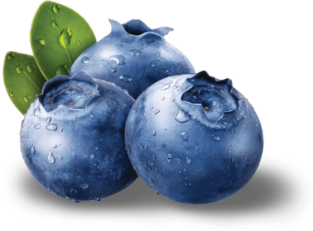  Blue Berries Png Free Blueberries Png Berry Png