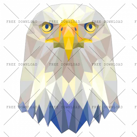  Eagle Hawk Kite Bird Png Image With Transparent Background Owl