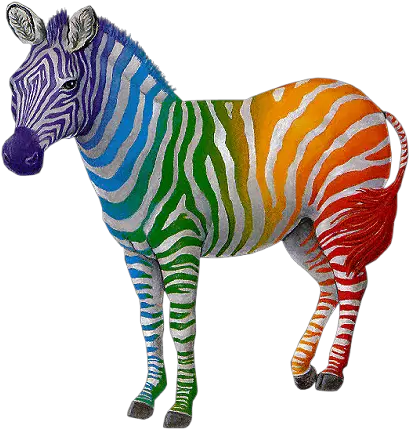  Glitter Graphics The Community For Enthusiasts Cool To Be Different Png Zebra Transparent Background