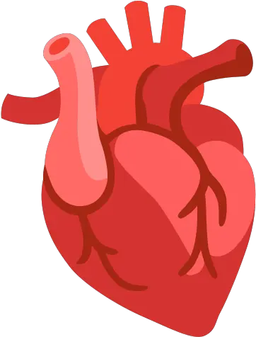  Anatomical Heart Emoji Anatomical Heart Emoji Png How Do You Make The Heart Icon