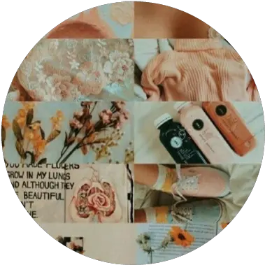  Aesthetic Fall Aesthetics 304312086241211 By Summervscoo Peach Pastel Aesthetic Pfp Png Flower Icon For Twitter