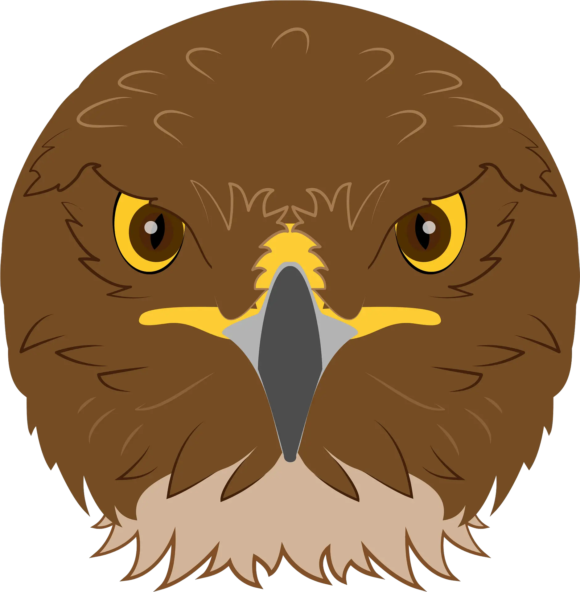  Hawk Face Clipart Free Download Transparent Png Creazilla Hawk Head Png Clipart Hawk Png