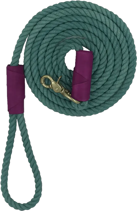  Leash Png Skipping Rope Cord Png