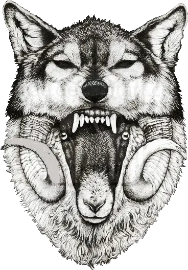  Trans Parentmade Transparent By Transparent Wolf Sheep In Clothing Tattoo Png Wolf Transparent