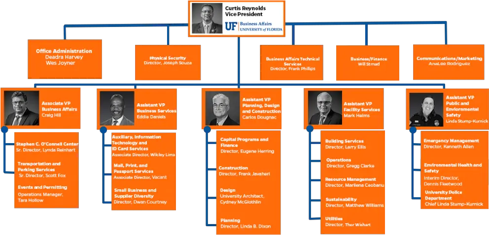  Org Chart Business Affairs Vertical Png Org Chart Icon