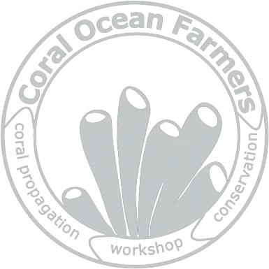  Home Coral Ocean Farmers Png Coral Png