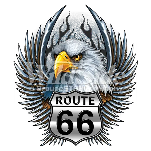  Download Rt66 Eagle Head Wings Illustration Png Eagle Head Logo