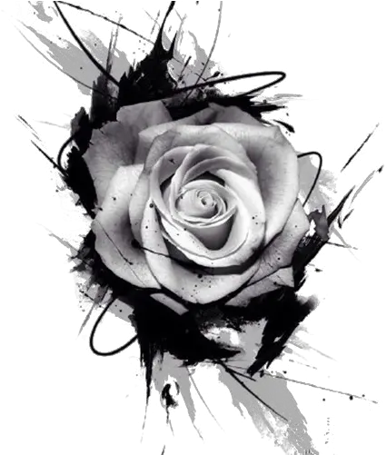  Tattoo Drawing Rose Pink Black And White Rose Png Rose Tattoo Png