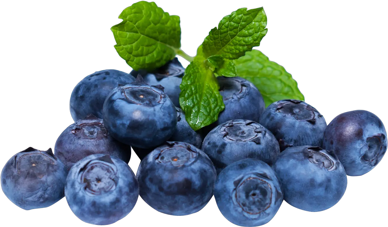  Download Blueberry With Leaf Png Image Blueberries Png Berry Png