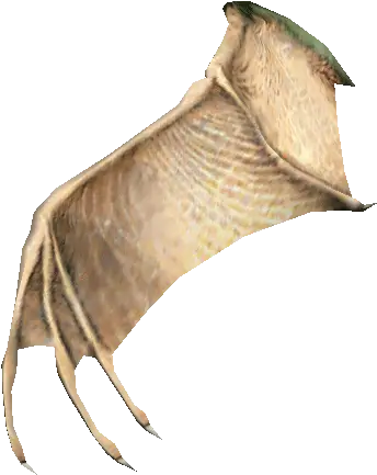  Gackle Bat Wing Transparent Bat Wing Png Bat Wings Png