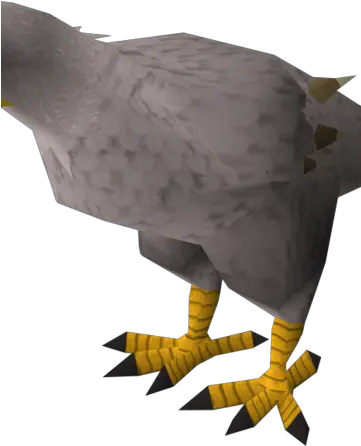  Giant Eagle Runescape Wiki Fandom Turkey Png Eagle Png