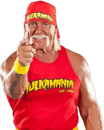  Hulk Hogan Hulk Hogan On A Plane Png Hulk Hogan Png