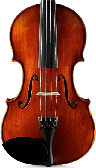  Violins Violas Cellos And Double Basses Antonio Strad Violin Violin Strad Png Violin Transparent