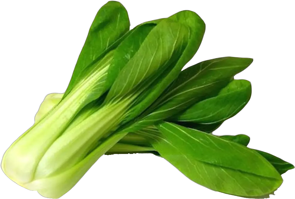  Bok Choy Png Image With Images Vegetables Grocery Bok Choy Png Celery Png