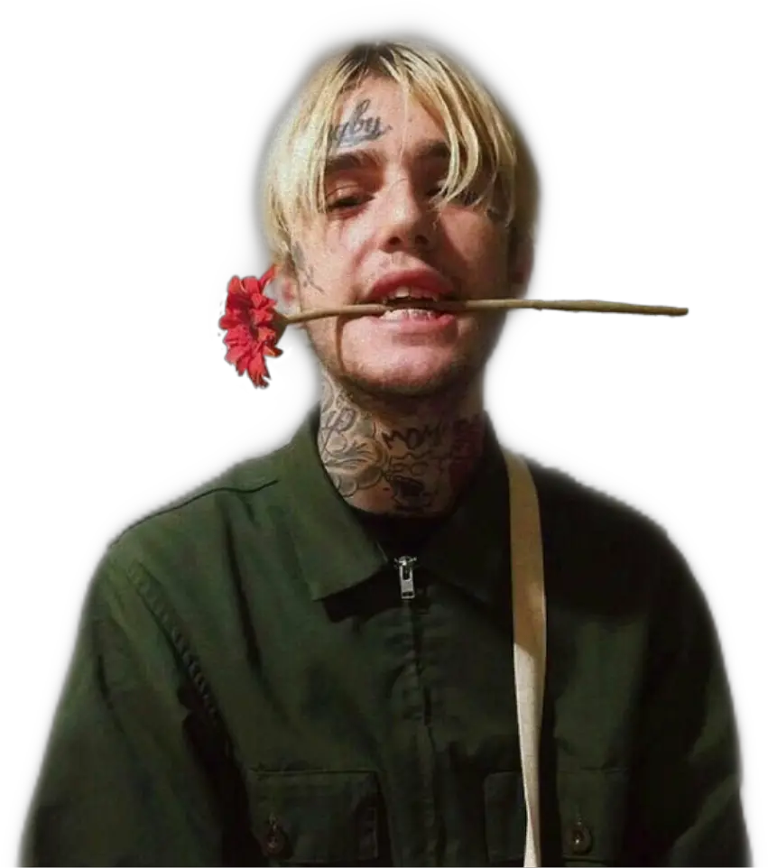  Download Hd Lil Peep Rose In Mouth Transparent Png Image Lil Peep Long Hair Mouth Png