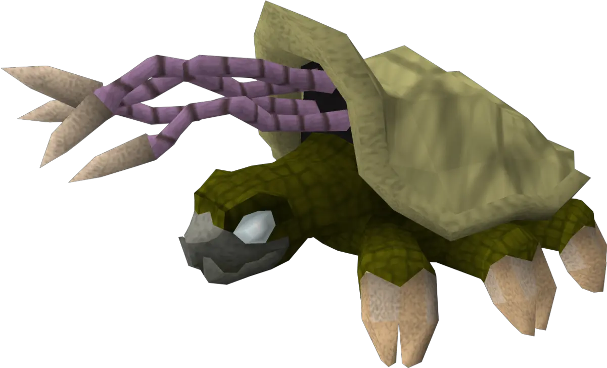  Warped Tortoise The Runescape Wiki Warped Tortoise Png Tortoise Png