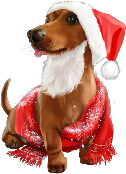  Pin Cute Dogs Christmas Png Dog And Cat Png