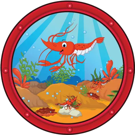  Shrimps Colorful Minds Illustration Png Shrimp Png