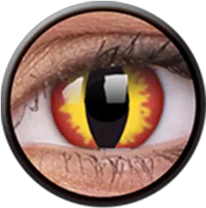  Colourvue Daily Disposable Crazy Lens Dragon Eyes Contact Lenses Png Crazy Eyes Png