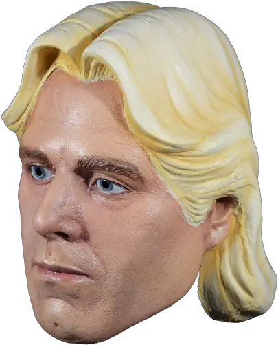  Wwe Ric Flair Adult Size Halloween Mask Ric Flair Mask Png Ric Flair Png