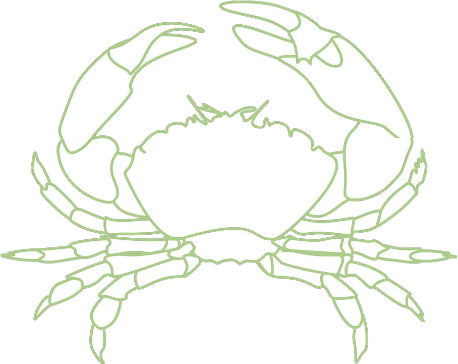  Crab Crustacean Sea Life Free Vector Graphic On Pixabay Kepiting Vektor Png Crawfish Png