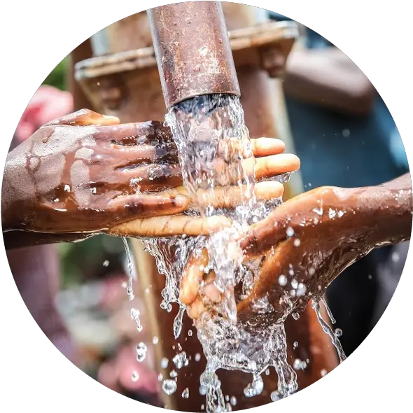  Coming Soon World Water Day U2014 Bloodwater Marine Invertebrates Png Blood Hand Png