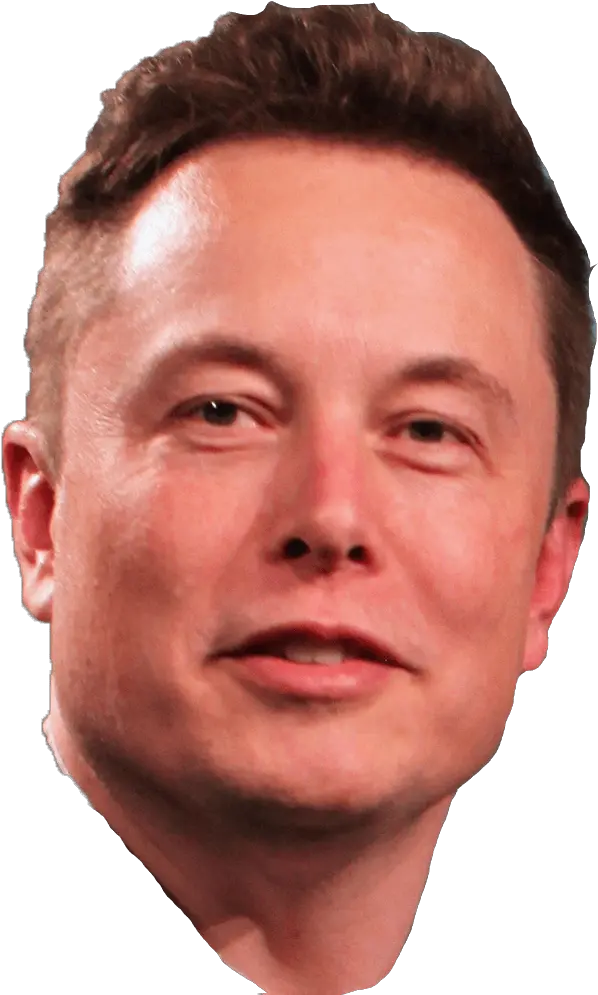  Business Success Transparent Png Image Elon Musk Face Transparent Elon Musk Png