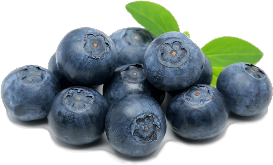  Spooner Farms Inc Blueberries Clip Art Png Berry Png