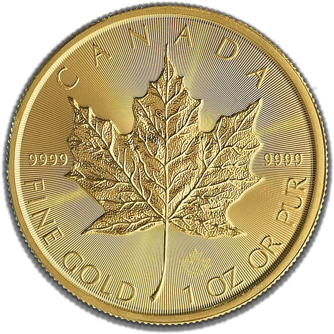  Buy Gold Maple 2019 1 Oz Low Cost Coins In Singapore Gourmet Burger Bistro Png Canadian Maple Leaf Png