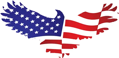  Cropped Faviconminpng U2013 American Ac Services Llc American Flag Eagle Symbol Fav Icon Size