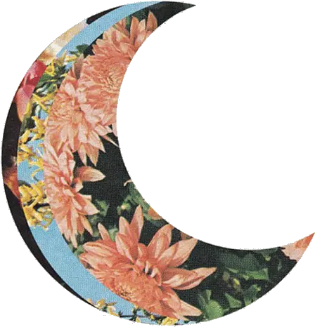  Untitled Image 1197794 By Awesomeguy On Favimcom Moon Transparent Tumblr Crescent Png Moon Transparent Background