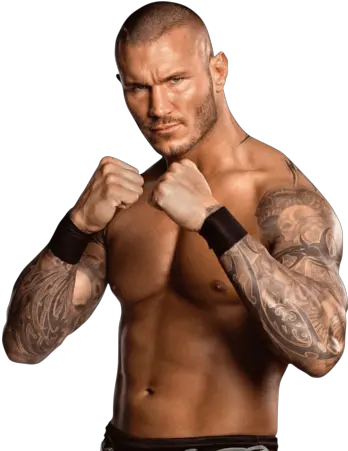  Randy Orton Universe Of Smash Bros Lawl Wiki Fandom Randy Orton Full Body Png Randy Orton Png