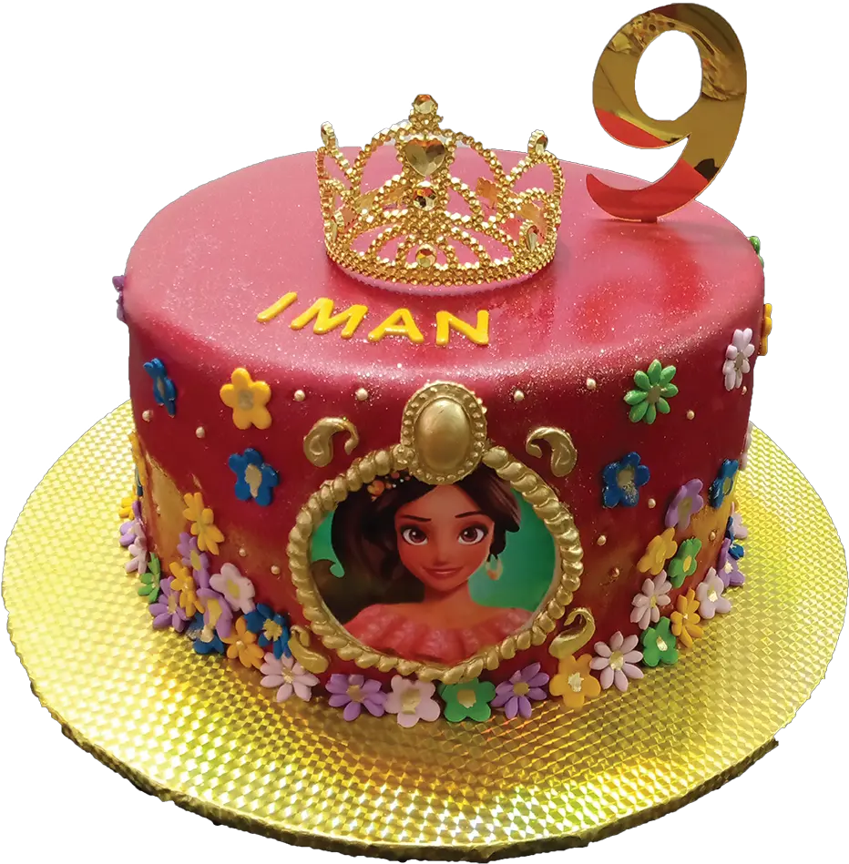  Elena Of Avalor Elena Of Avalor Birthday Cakes Png Elena Of Avalor Png