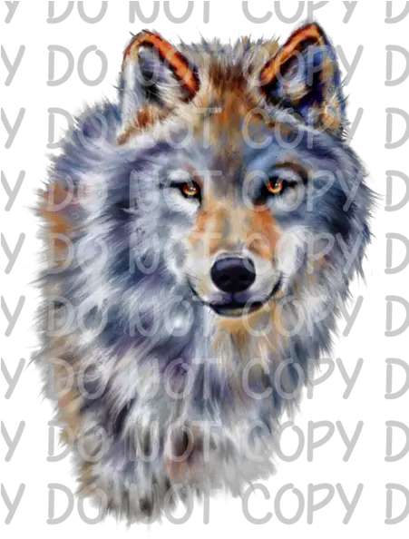  Wolf Painting Sublimation Watercolor Wolves Clipart Png Wolf Transparent Background