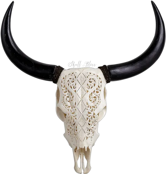  Bull Horns Png Cattle Bull Horns Png