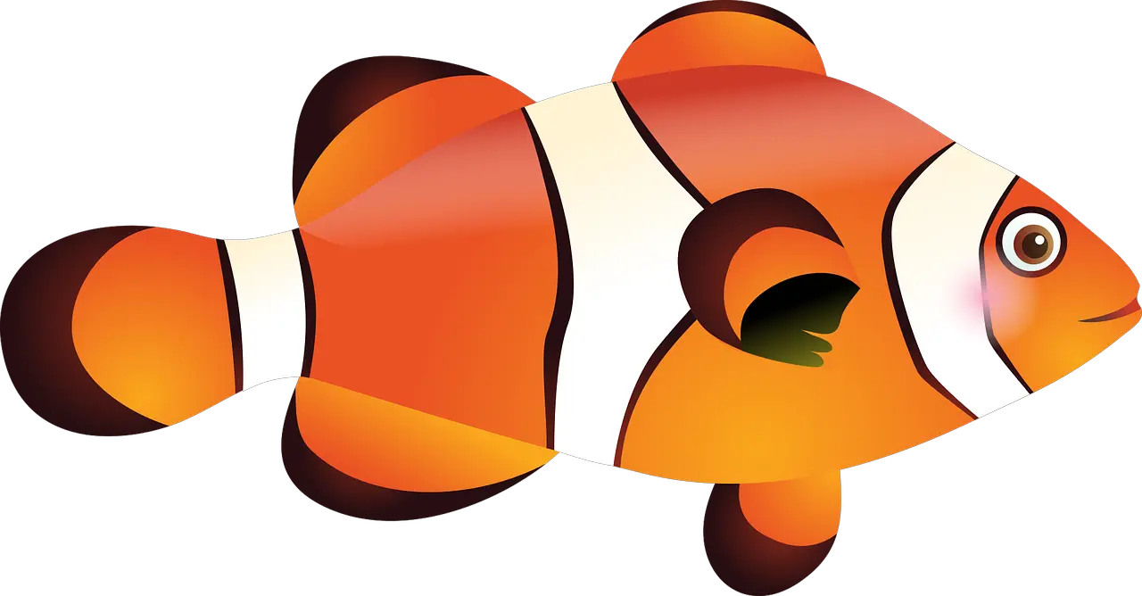  Ikan Nemo Png Image Cartoon Clown Fish Png Nemo Png