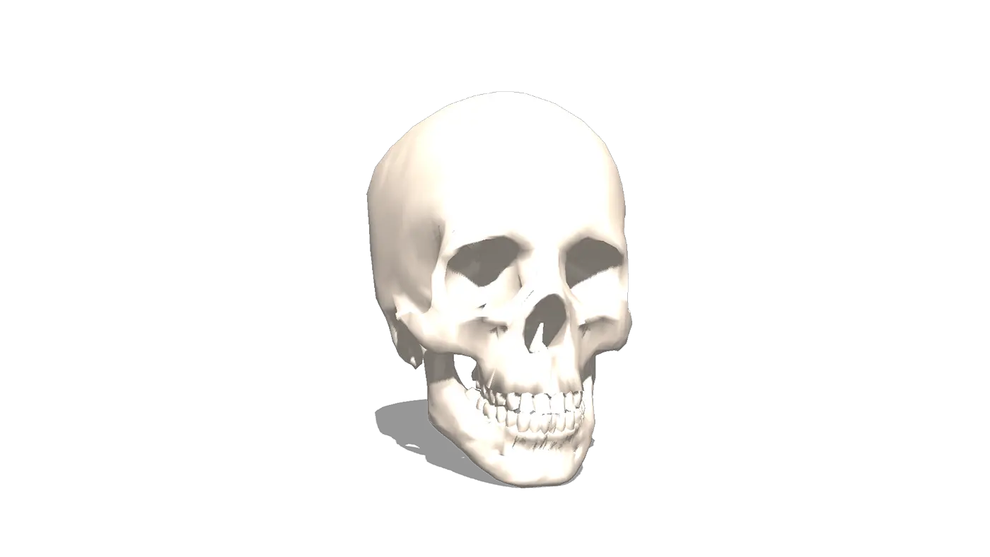  Skull From Archive3d 3d Printer Model 3d Skull Transparent Png 3d Skull Png