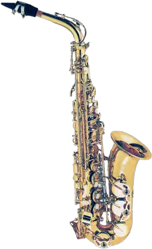  Fontaine Alto Saxophone Eb Wcase Alto Saxophone Png Saxophone Transparent