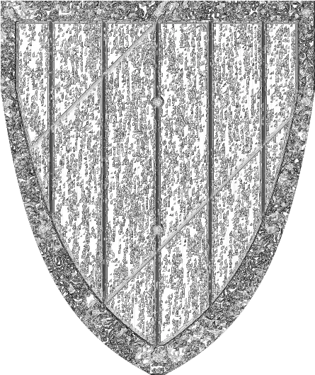  Shield Transparent Png Image Vertical Shield Outline Png