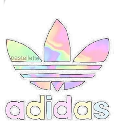  About Logos Da Adidas Rainbow Adidas Logo Png Adidas Logos