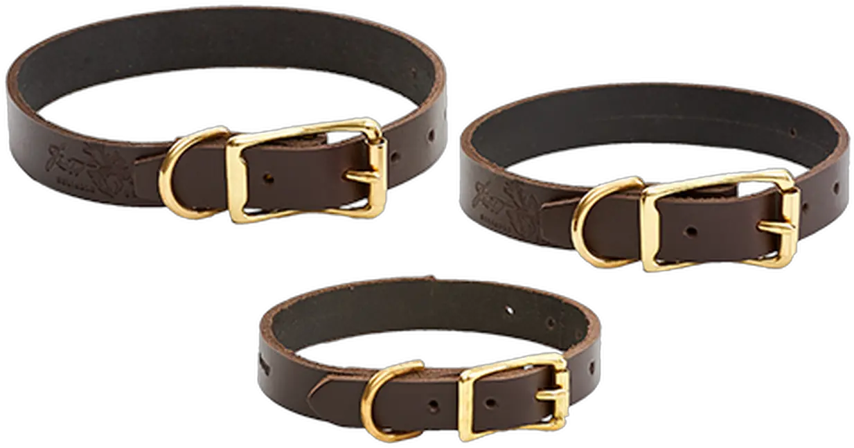  Dog Collars Buckle Png Collar Png