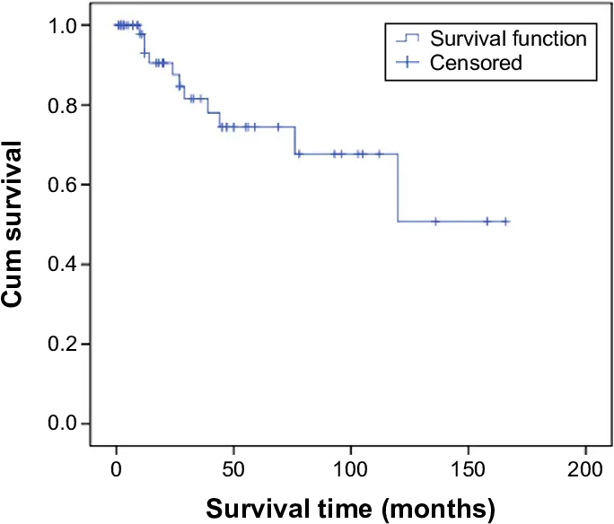  Simultaneous Surgery Patientsu0027 Survival Curve Notes The Diagram Png Cum Transparent Background