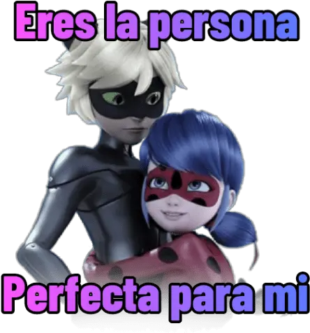  Miraculous Ladybug Ladybug Y Cat Noir Chat Blanc Png Miraculous Ladybug Transparent