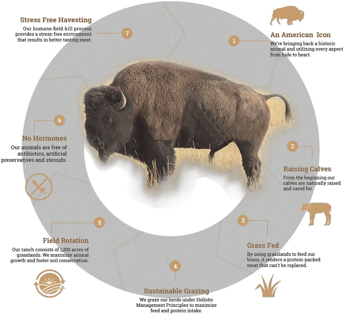  Fieldharvest Hashtag Northstar Bison Png Bison Icon