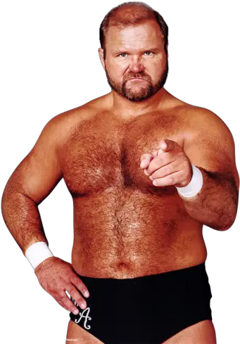  Why Didnt Arn Anderson Get A Run Of Arn Anderson Png Wwe Layla Icon