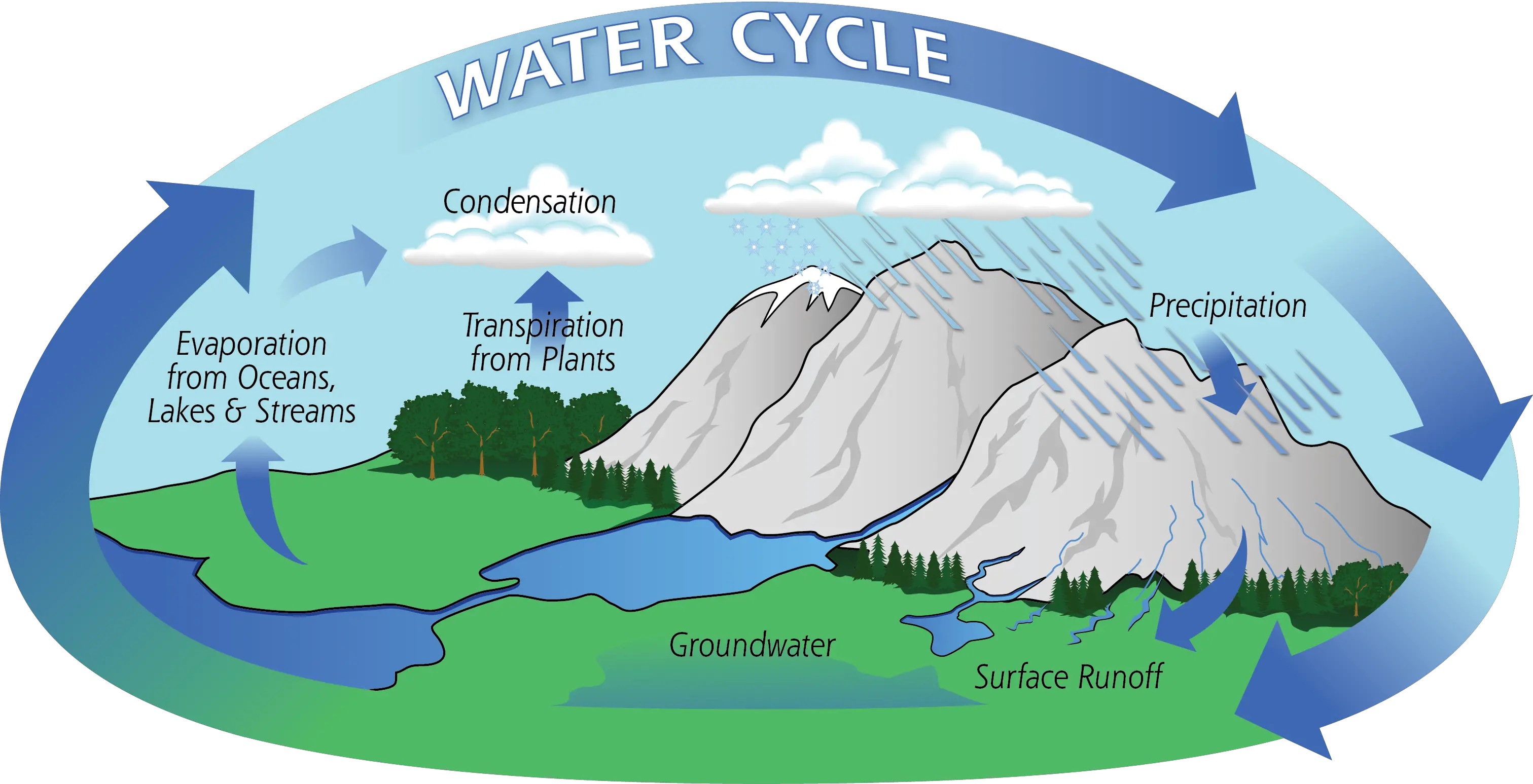  The Water Cycle Water Cycle In Coral Reefs Png Condensation Png